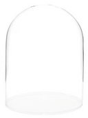 Glass Cloche