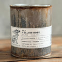 NO. 11 | YELLOW ROSE